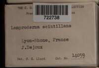 Image Associated With the Occurence
